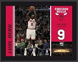 Luol Deng Sublimated 10x13 Plaque | Details: Chicago Bulls