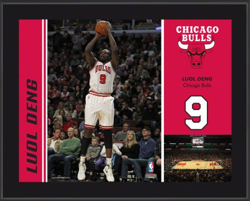 Luol Deng Sublimated 10x13 Plaque | Details: Chicago Bulls