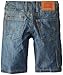 Levi's Little Boys' Holster Short