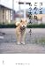 : ゴン太ごめんね、もう大丈夫だよ！