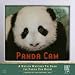 Panda Cam: A Nation Watches Tai Shan the Panda Cub Grow