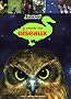 Le monde des oiseaux