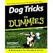 Best Pet Training Aids