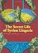 Secret Life of Syrian Lingerie: Intimacy and Design
