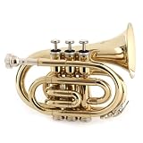 Cecilio Gold Lacquer Finish Bb Pocket Trumpet - B000ETLXC6