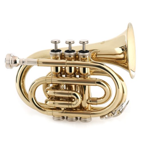 Cecilio Gold Lacquer Finish Bb Pocket Trumpet
