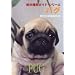 �p�O�Ƀn�}���Ă܂��B