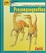 Book Looking at Procompsognathus: A Dinosaur from the Triassic Period (New Dinosaur Collection)