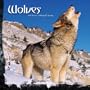 WOLVES 2010 Wall Calendar