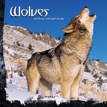 WOLVES 2010 Wall Calendar