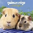  Guinea Pigs 2010 Wall Calendar by Magnum