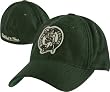 Boston Celtics Green Hardwood Classics Melton Wool Flex Hat