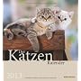 Der Katzenkalender 2013 
