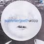 Summer Teeth ~ Wilco