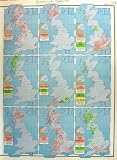 Map Britain Ireland 1963 Botanical Species Trees Wood