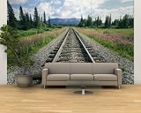Alaska Railroad Tracks Lined on Either Side by Pink Fireweed , 144x96