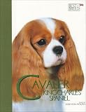 \"Cavalier