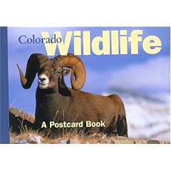 Colorado Wildlife: A Postcard Book