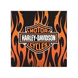 Harley-Davidson Flames Logo Pillow