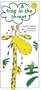 Frog in the Throat (Longman Book Project)
