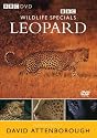 Wildlife Special - Leopard [DVD] [1997]