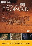 Wildlife Special - Leopard [1997]