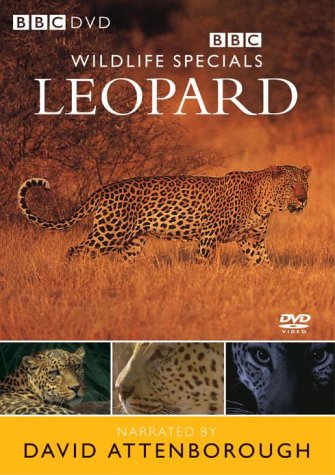 WILDLIFE SPECIALS : LEOPARD DV