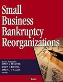 Small Business Bankruptcy Reorganizations