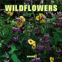Wildflowers Mini Wall Calendar: 2004