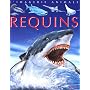 Les requins de Cathy Franco