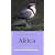 Where to Watch Birds in Africa