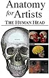 Anatomy for Artists - The Human Head