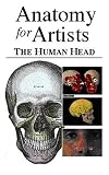 Anatomy for Artists - The Human Head