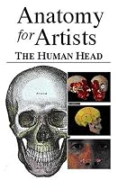 Anatomy for Artists - The Human Head