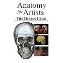 Anatomy for Artists - The Human Head