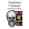 Anatomy for Artists - The Human Head
