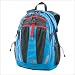 THE NORTH FACE(ノースフェイス) リュック (リーコン30) ダークグレーXブルー 容量/30L