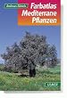 Farbatlas Mediterrane Pflanzen