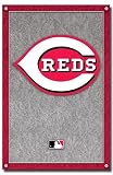 Cincinnati Reds (New Logo) Sports Poster Print - 24 X 36