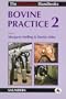 Bovine Practice 2