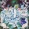 Japanese Hip hop Classic�@(���{�ꃉ�b�v ����)�@