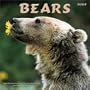 Bears