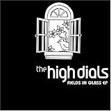 Fields in Glass