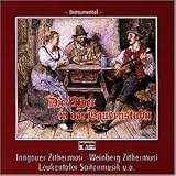 Zither in der Bauernstub N