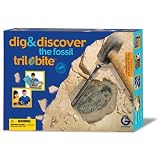 Trilobite - Dig and Discover