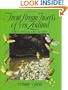 Trout Stream Insects of New Zealand: How to Imitate and Use Them