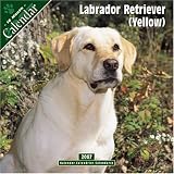 Labrador Retriever (Yellow) 2007 Wall Calendar