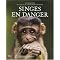 Animals Pix
