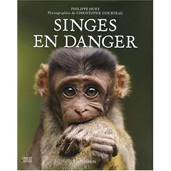 Singes en danger