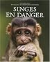 Singes en danger